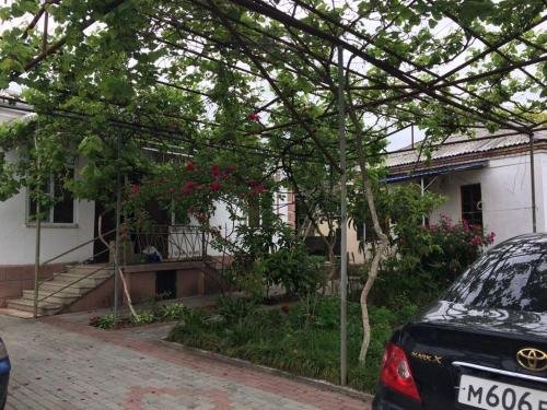carousel image 0