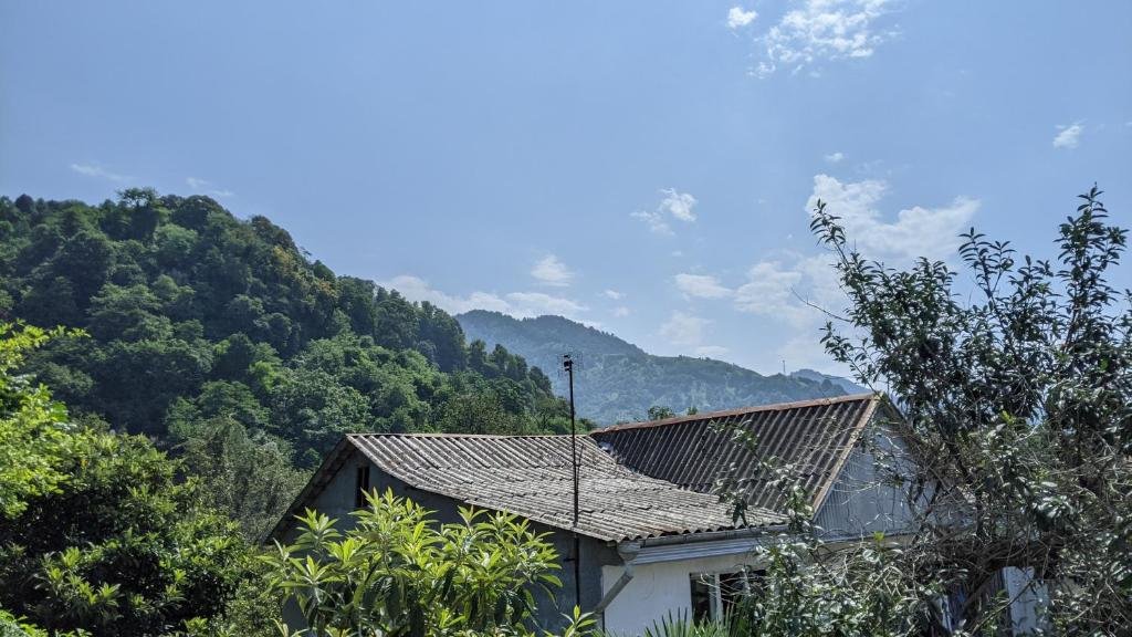 Батуми: Simona Guest House