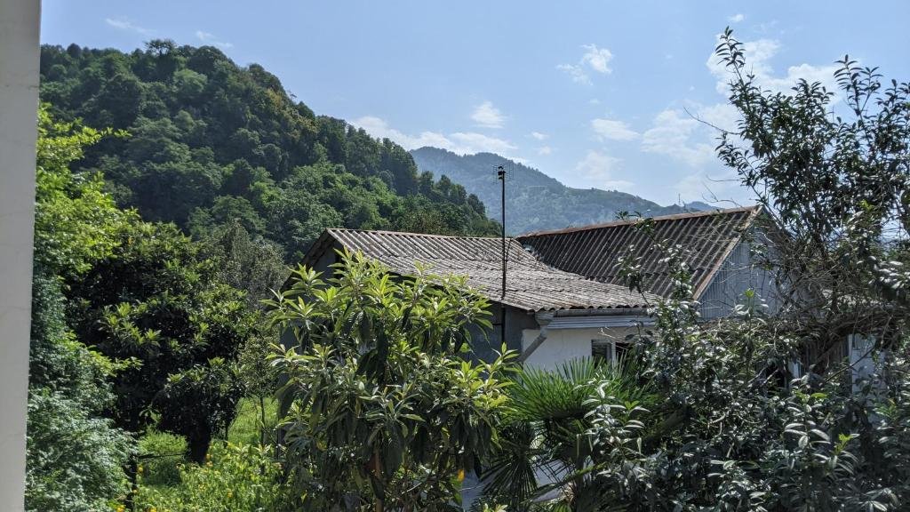 Батуми: Simona Guest House