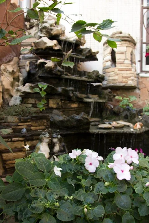 Анапа: Elena Guest House 
