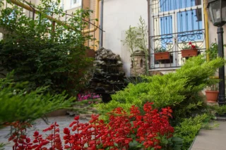 Анапа: Elena Guest House