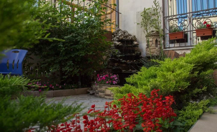 Анапа: Elena Guest House 