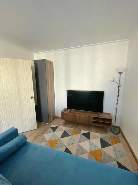 Квартира Три гуся — фото 5