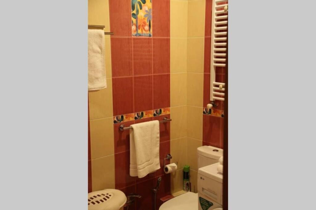 Тбилиси: Lovely Flat on Rustaveli Avenue with Balcony