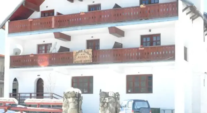 Бакуриани: Tetri Saxli Hotel