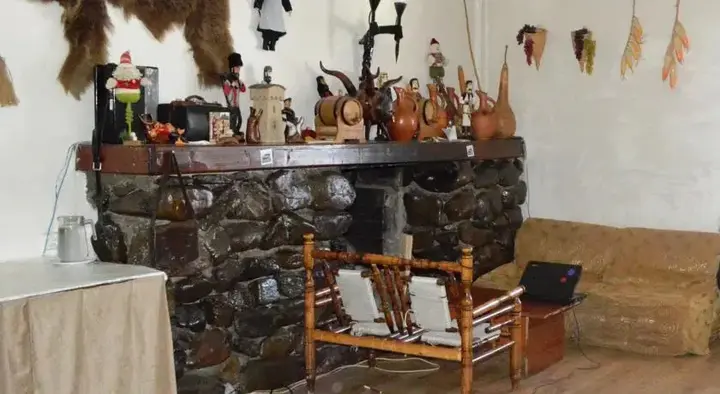 Бакуриани: Tetri Saxli Hotel
