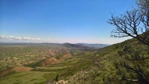 Удабно: Savane
