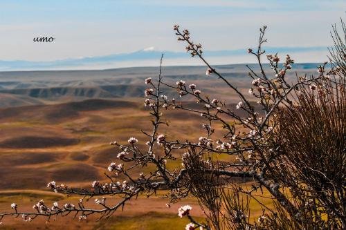 Удабно: Savane
