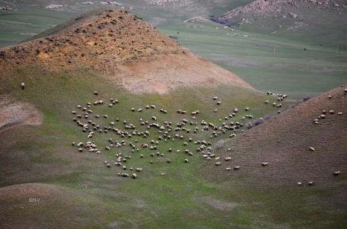 Удабно: Savane