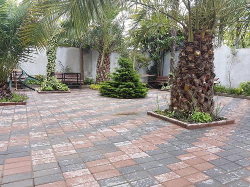 Батуми: Guesthouse 97 in Batumi