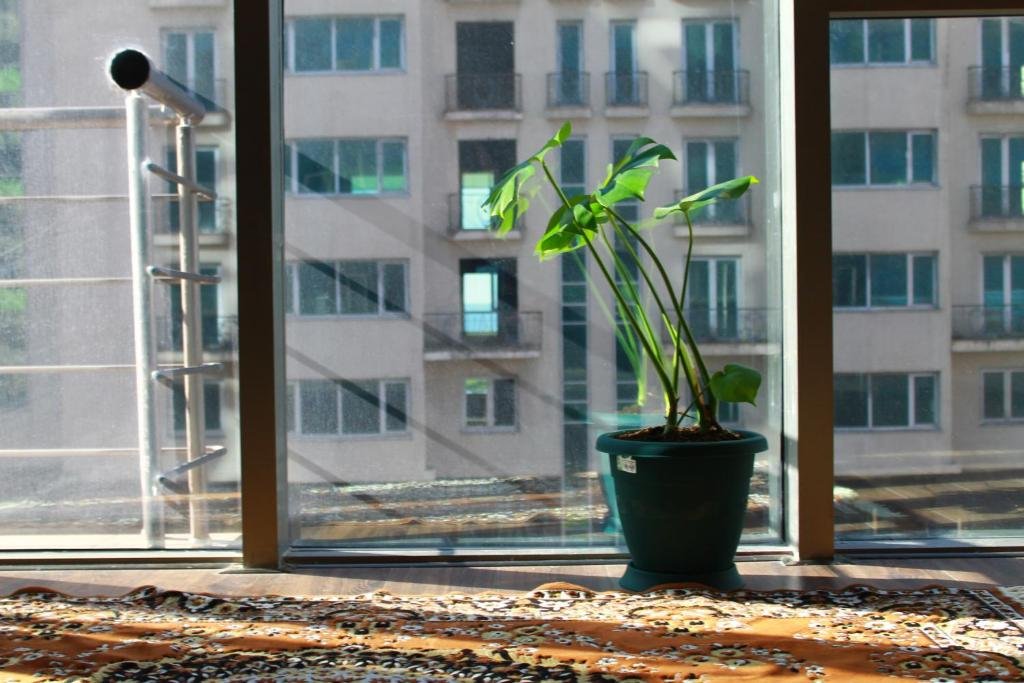 Батуми: Three-Bedroom Apartment in Batumi, near the Black Sea