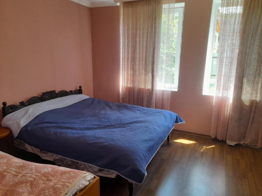 Амбролаури: Guest Tsibena House in Racha