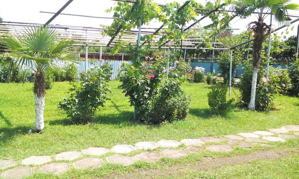 Очамчира: V Kingi Guest House