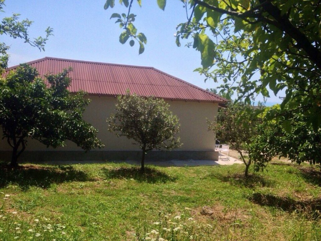 Новый Афон: Mandarinovyij Dvorik Guest House