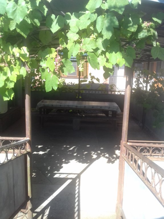 Гагра: Chastnyij Dom Guest House