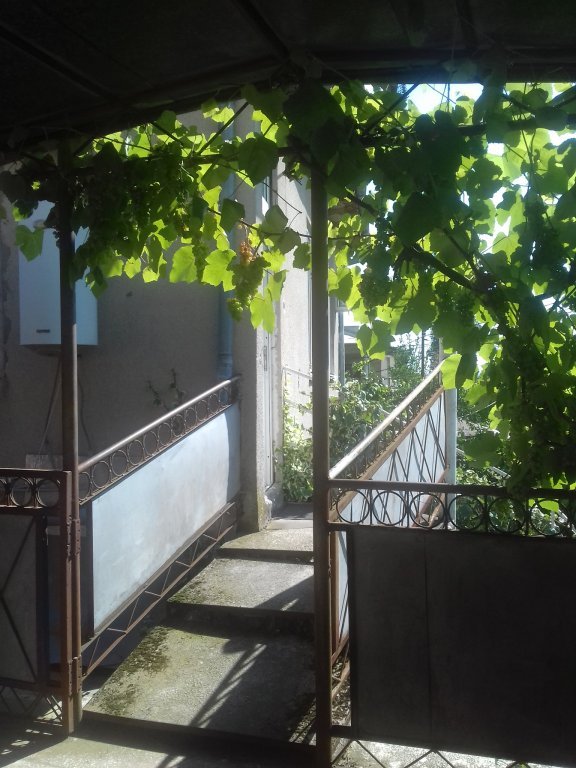 Гагра: Chastnyij Dom Guest House