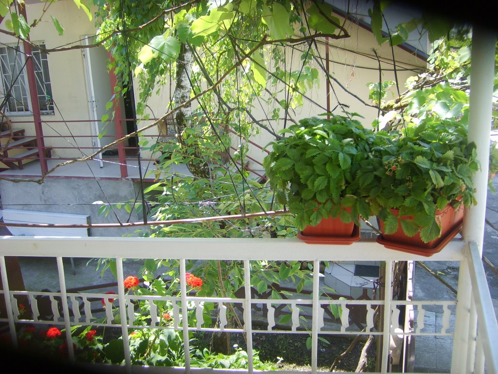 Сухум: Dom Na Naberezhnoj Mini-Hotel