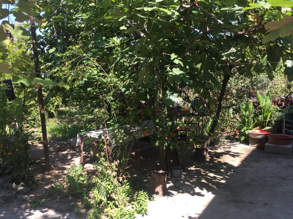 Новый Афон: U Donaryi Guest House
