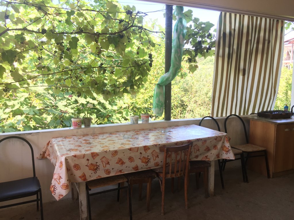 Новый Афон: U Donaryi Guest House