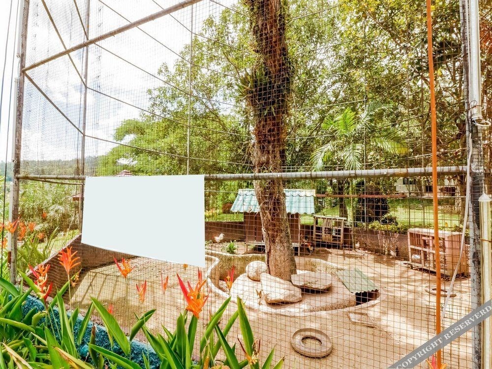Мае-Таенг: Nida Rooms Huay Rai Elephant Camp
