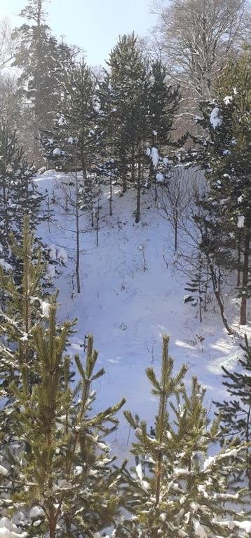 Бакуриани: Mountain paradise