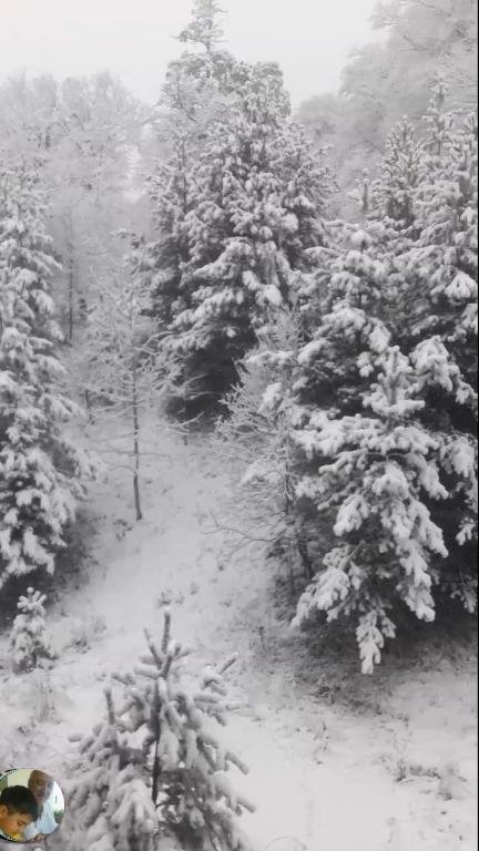 Бакуриани: Mountain paradise