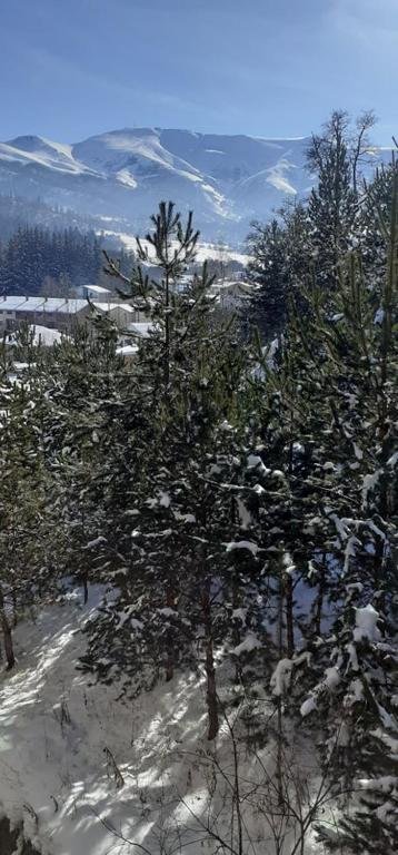 Mountain paradise — фото 2