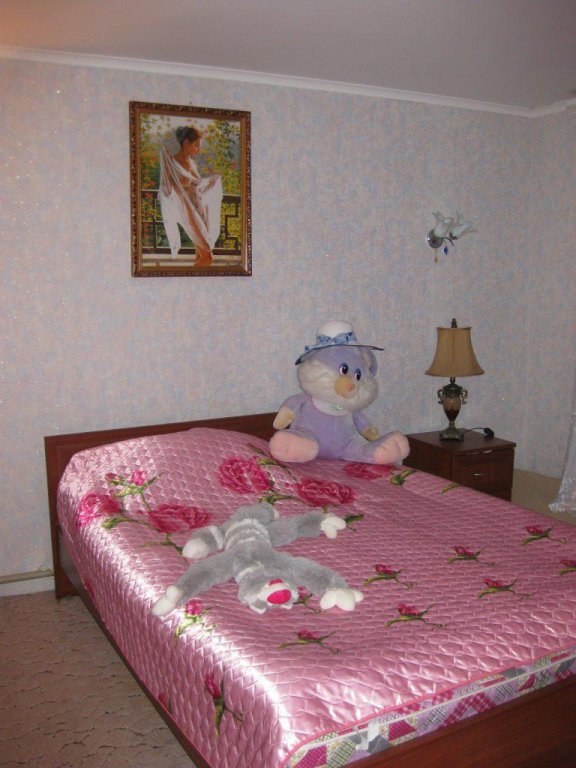 Переславль-Залесский: Staryij Gorod Guest House