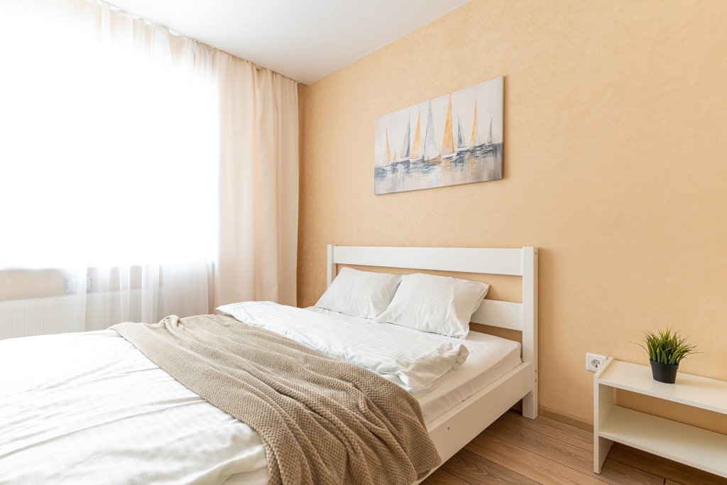 Петрозаводск: Апартаменты PtzHome Уютные Евро-2 Апартаменты