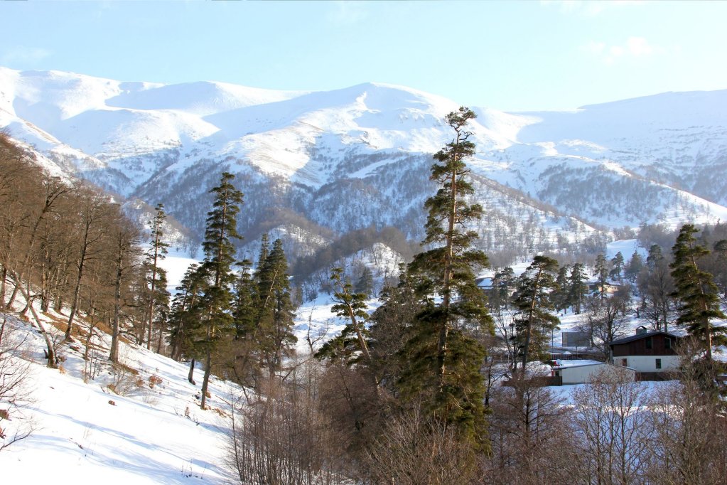 Бакуриани: Orbi Palace Mountain