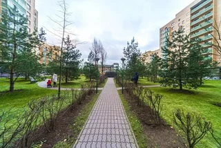 Санкт-Петербург: Apartment near Center Almazova 2
