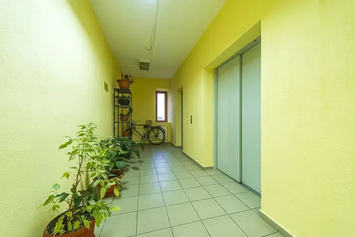 Санкт-Петербург: Apartment near Center Almazova 2