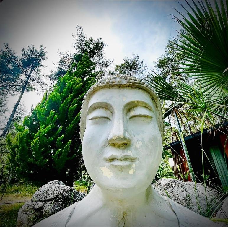 Кумлуджа: Olympos Five Rooms Apart no 1