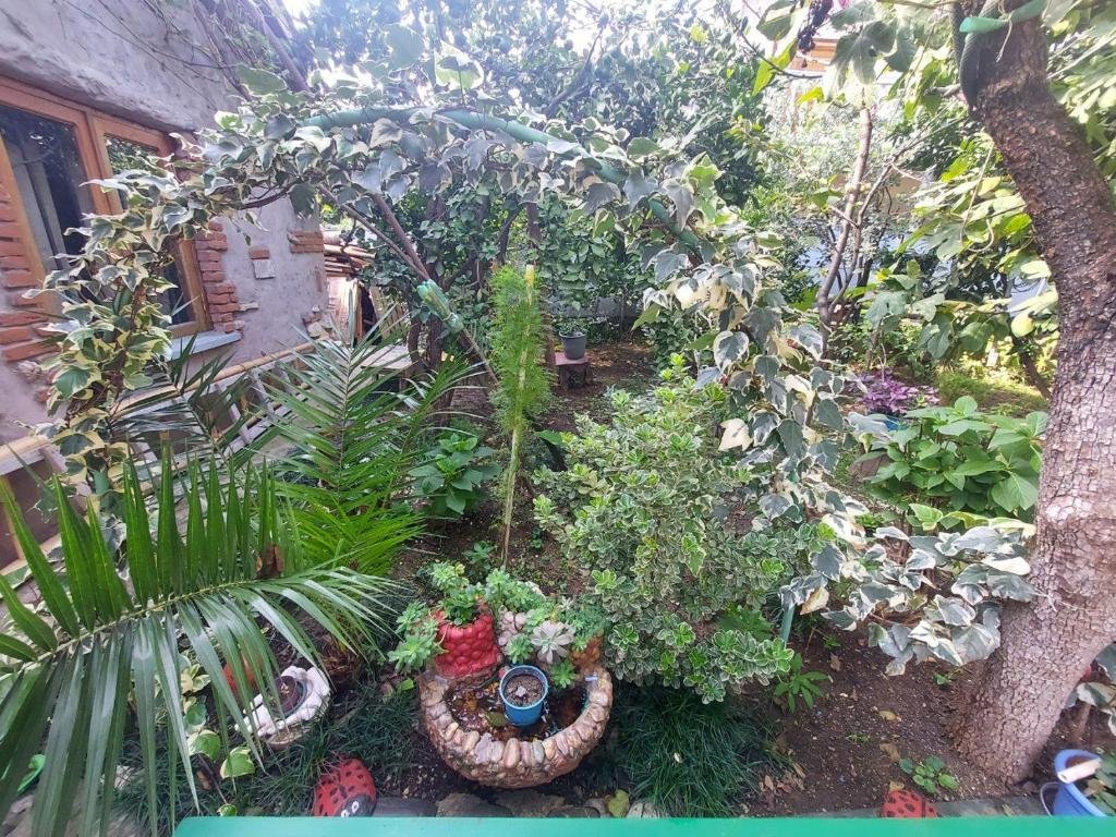Кутаиси: Guest House Lakada