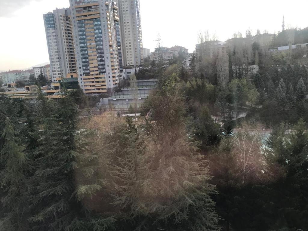 Анкара: ankara renthal house