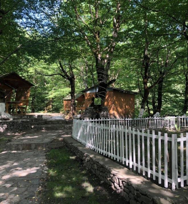 Габала: Gabala Explorers' Villa near Tufandag