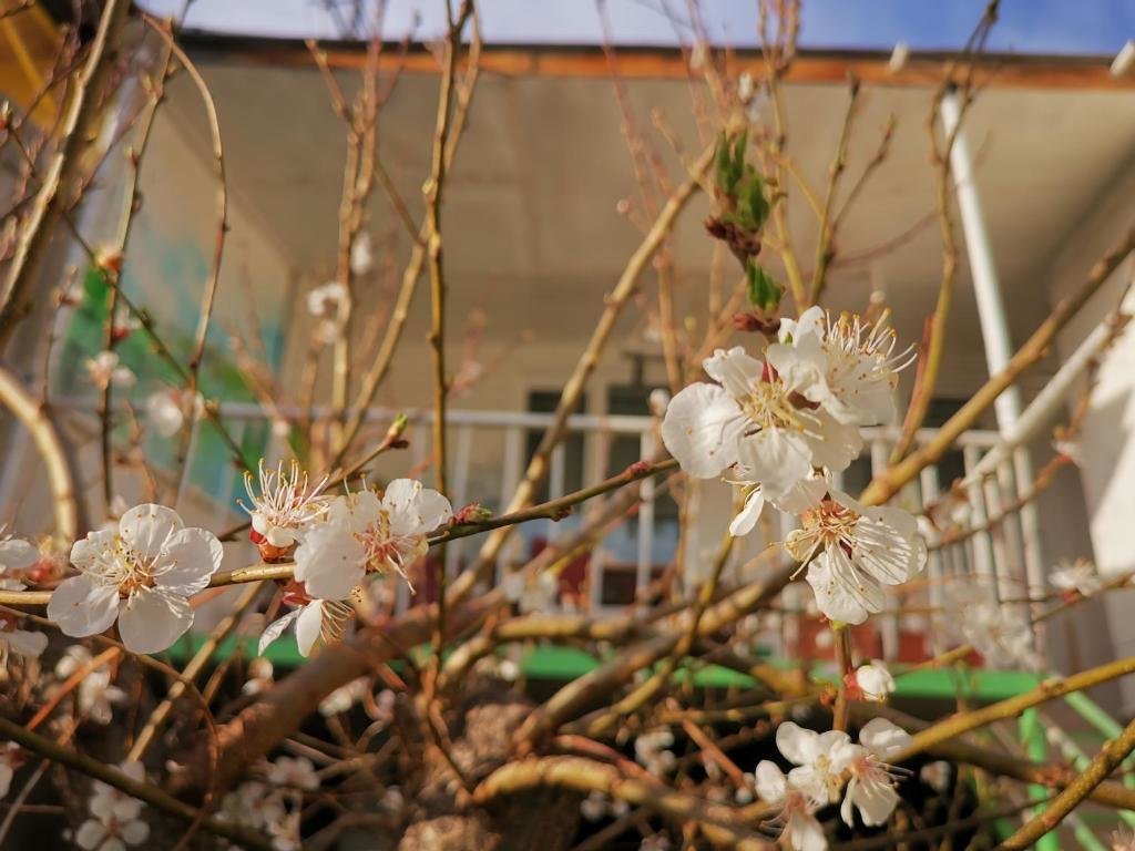 Одзун: Vanadzor guest house