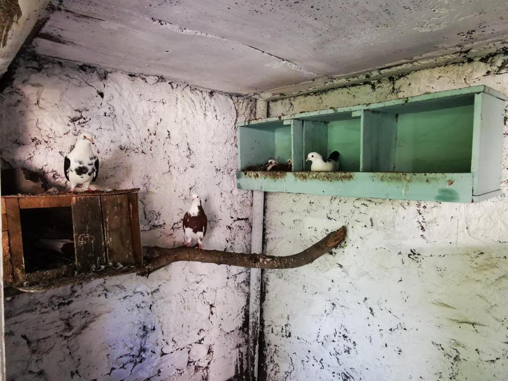 Одзун: Vanadzor guest house