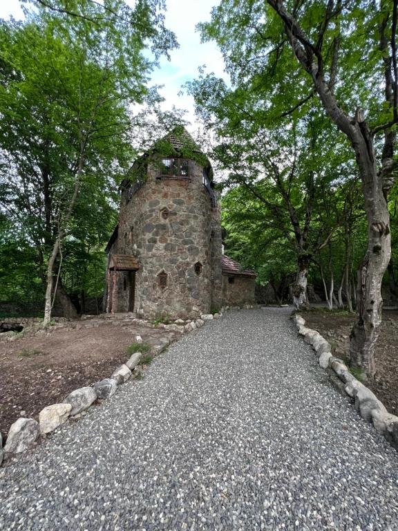 Губа: Qusar Forest