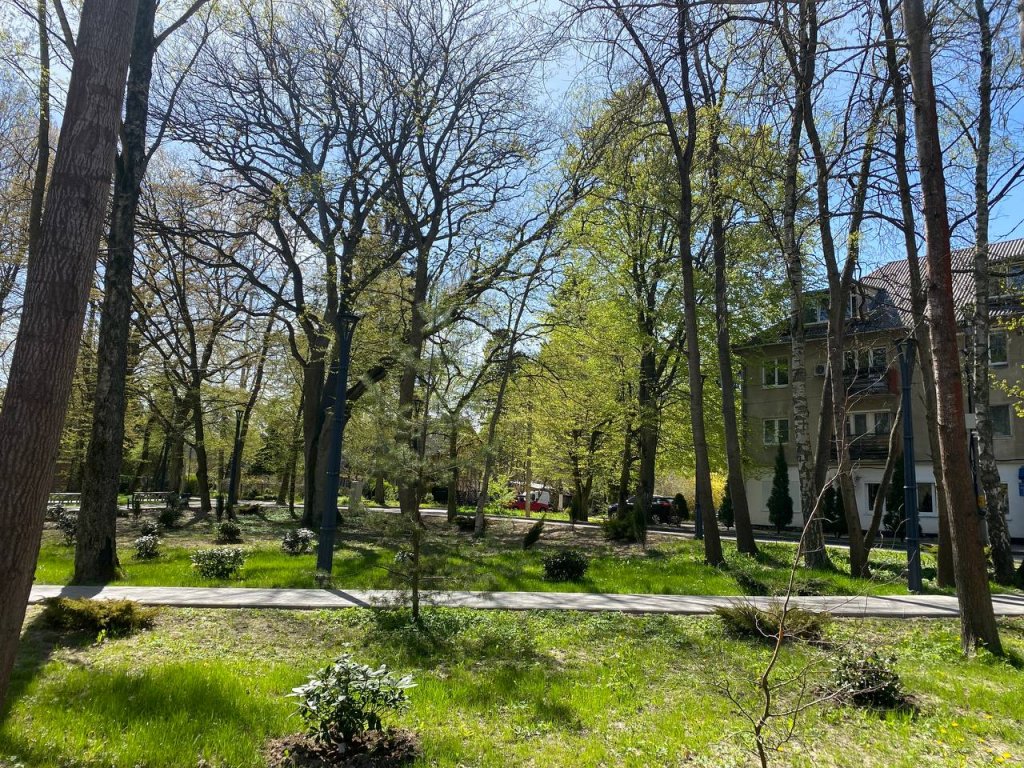 Светлогорск: Квартира у Моря с Видом на Парк