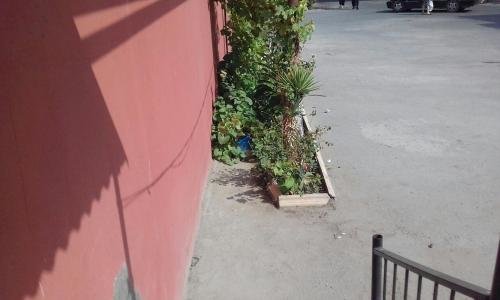 Баку: House-appartment