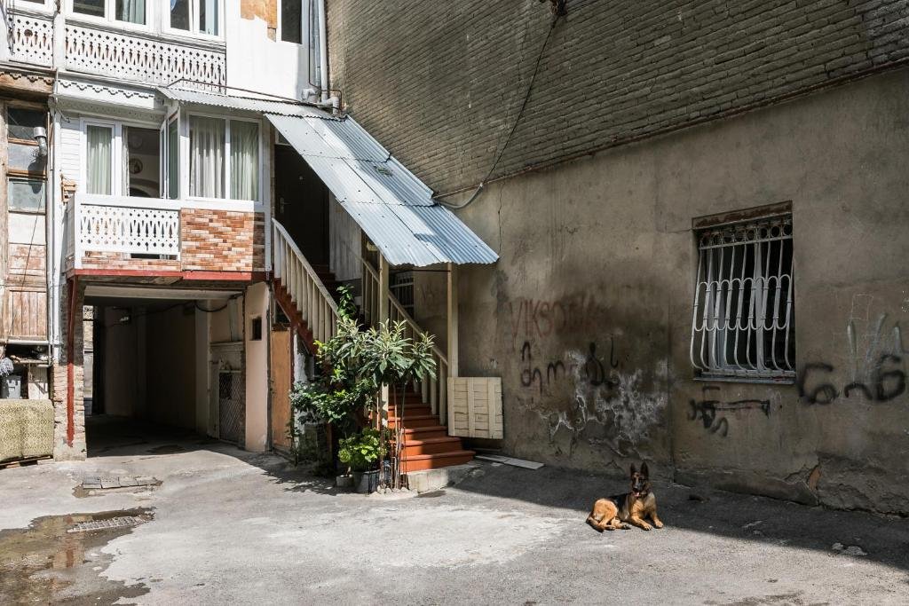 Тбилиси: Guesthouse Salve