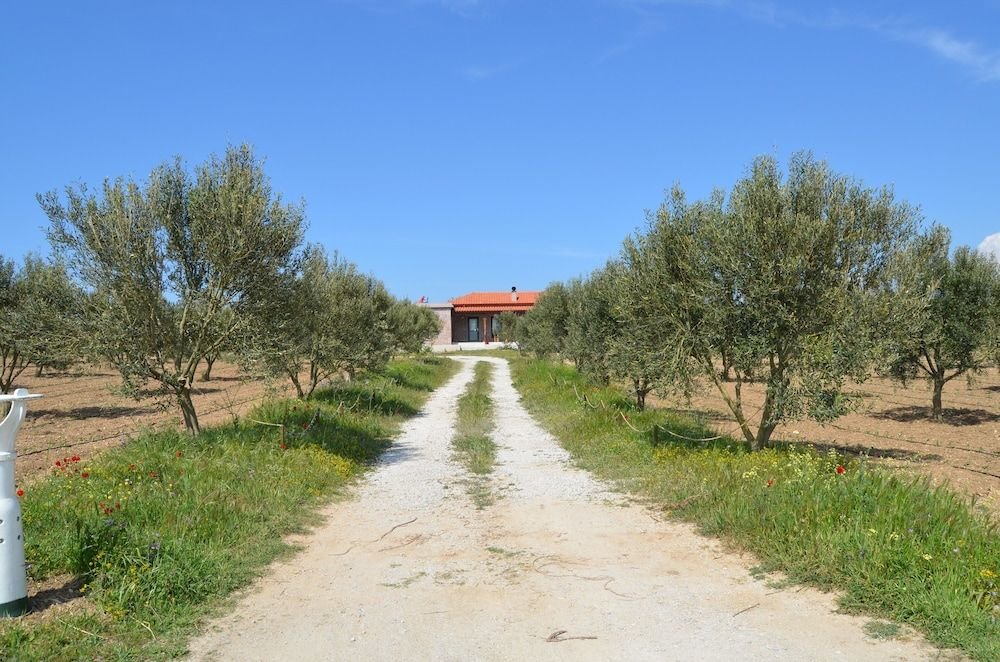Бозджаада: Le Petit Hotel ve Bağ Evi