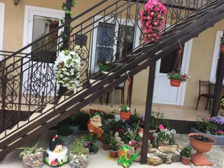 Джубга: Guest House Elena