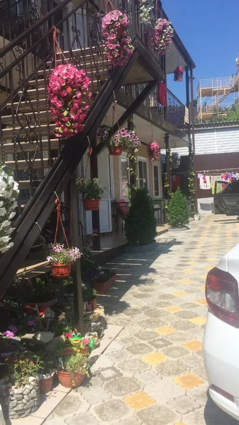 Джубга: Guest House Elena