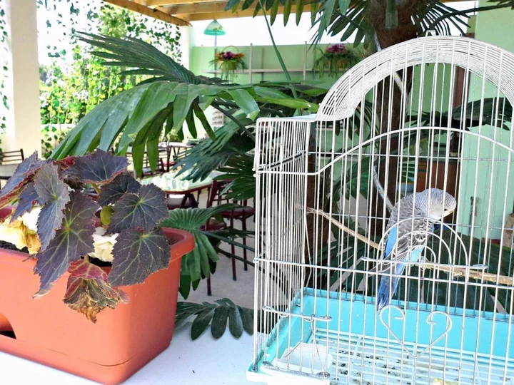 Джубга: Guest House Elena