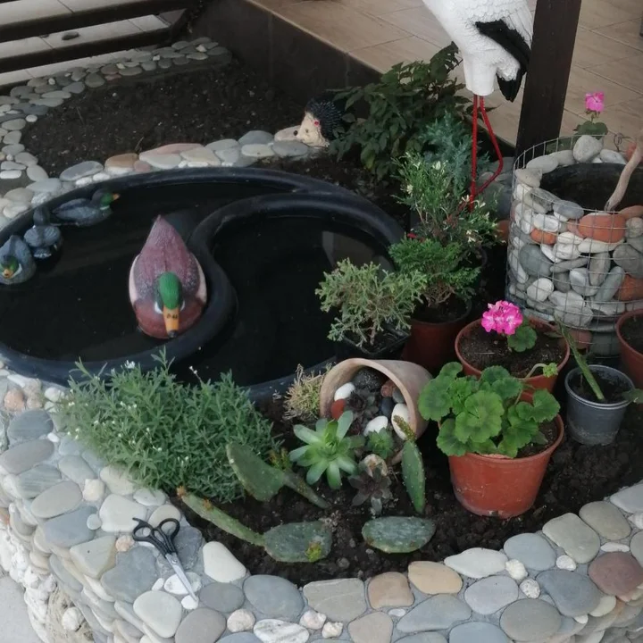 Джубга: Guest House Elena