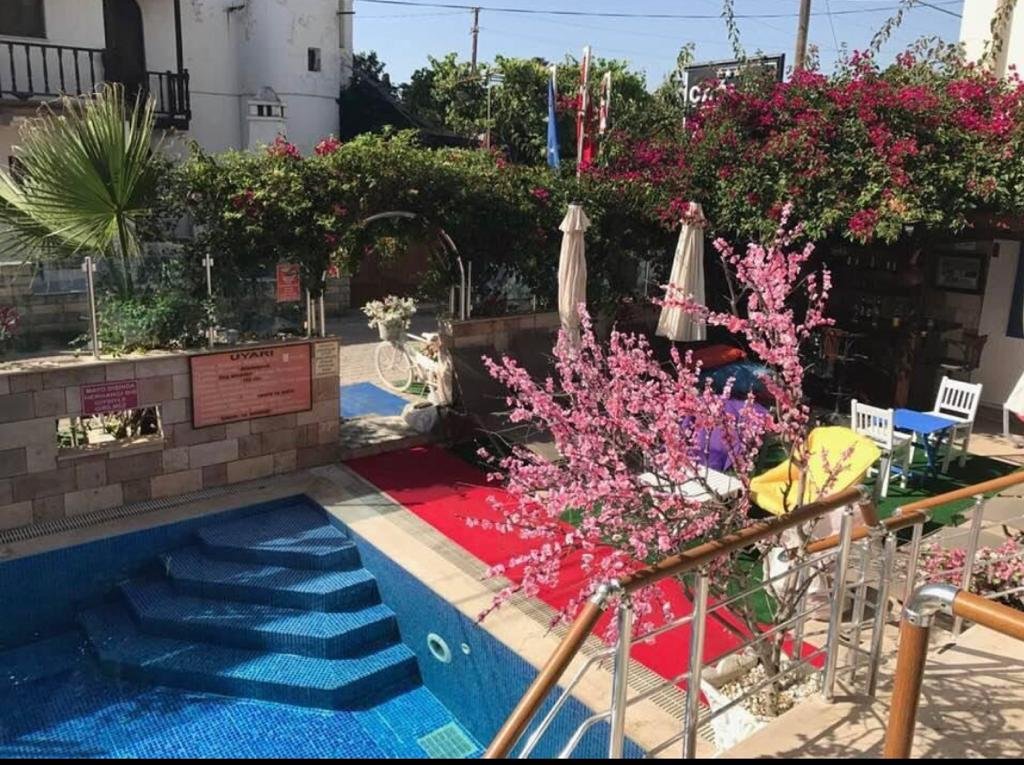 Тургутрейс: Caglar My House Apart Otel