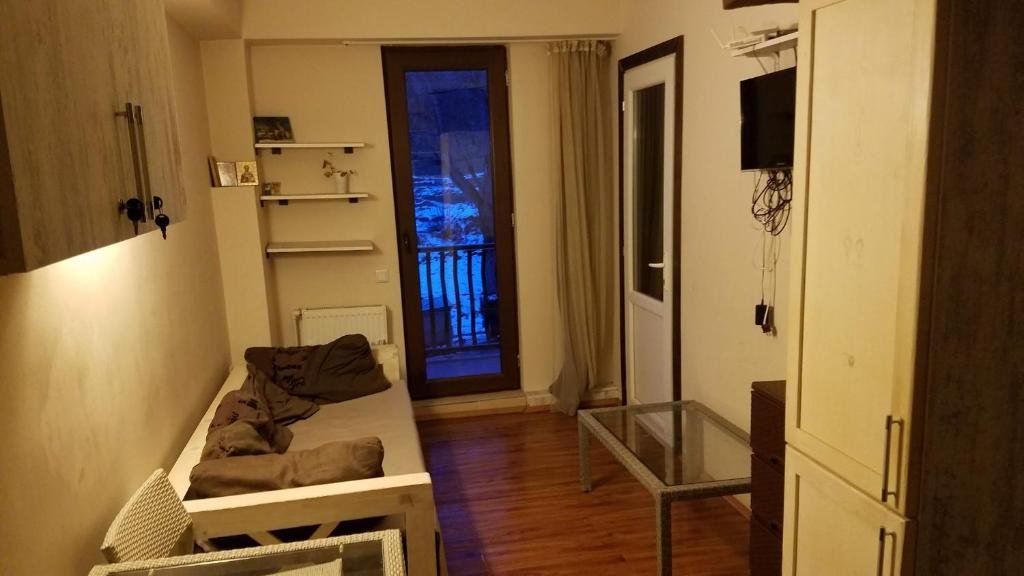 Бакуриани: Comfy&Cozy apartment in Bakuriani Ski Resort