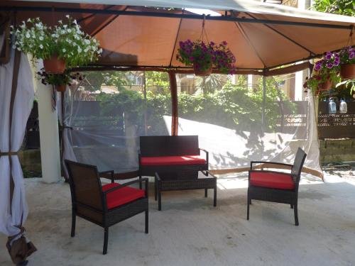 Гагра: Guest house LETTO